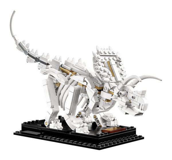 LEGO® Ideas 21320 Dinosaurier-Fossilien